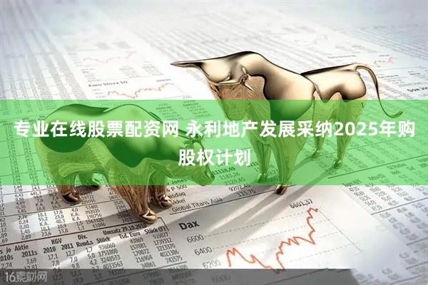 专业在线股票配资网 永利地产发展采纳2025年购股权计划