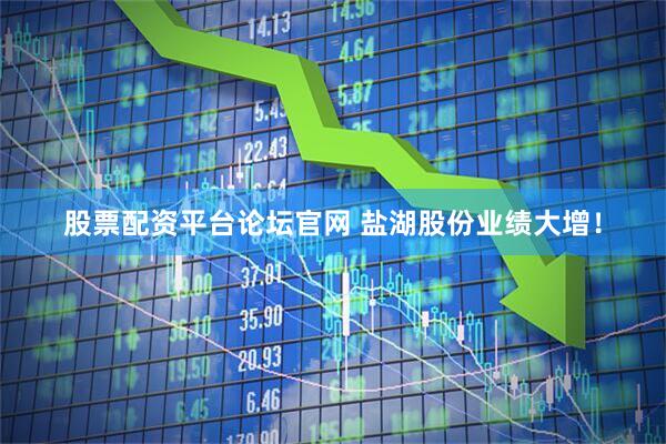 股票配资平台论坛官网 盐湖股份业绩大增！